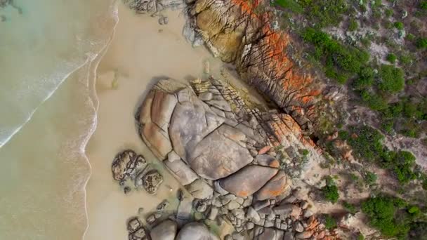 ウィルソンズ岬国立公園 ビクトリア オーストラリアでの海岸の素晴らしい自然 — ストック動画