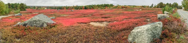 Yeşillik Peyzaj New England Panoramik Kırmızı Renkler — Stok fotoğraf