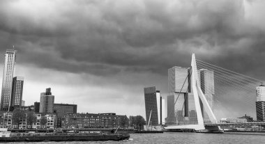 Erasmus Köprüsü ve modern şehir manzarası, Rotterdam.