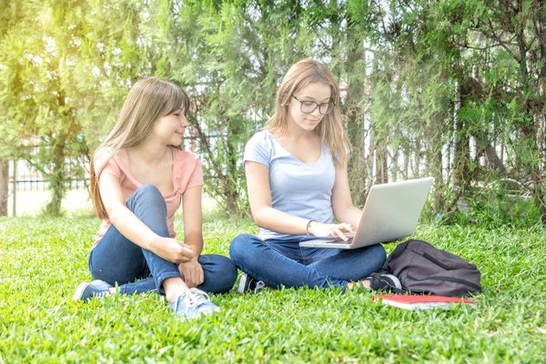 Couple Adolescentes Cherchant Ordinateur Portable Assis Sur Herbe Les Rayons — Photo