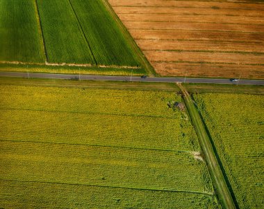 Sunfloers çayır yaz sezonu dron üzerinden aşağı doğru havadan görünümü.