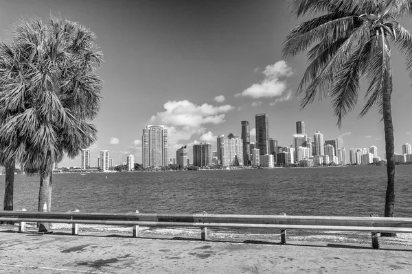 Miami Skyline Vom Rickenbacker Causeway — Stockfoto