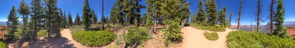 Panoramik Woods Bryce Canyon Milli Parkı Nda — Stok fotoğraf