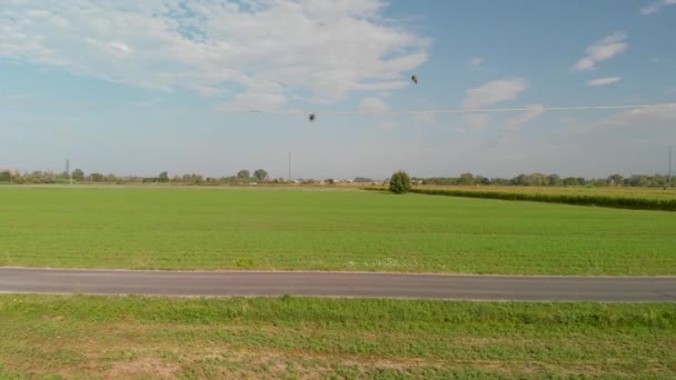 Vista Aérea Aérea Del Hermoso Campo Girasoles — Vídeos de Stock