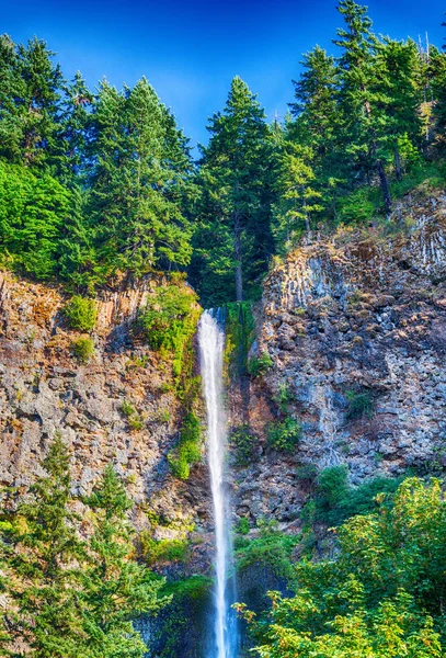 Multnomah Falls Oregon Amerikai Egyesült Államok — Stock Fotó