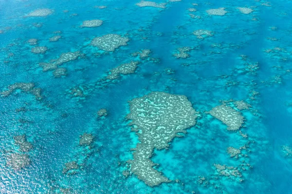Вид Воздуха Коралловый Риф Австралия — стоковое фото