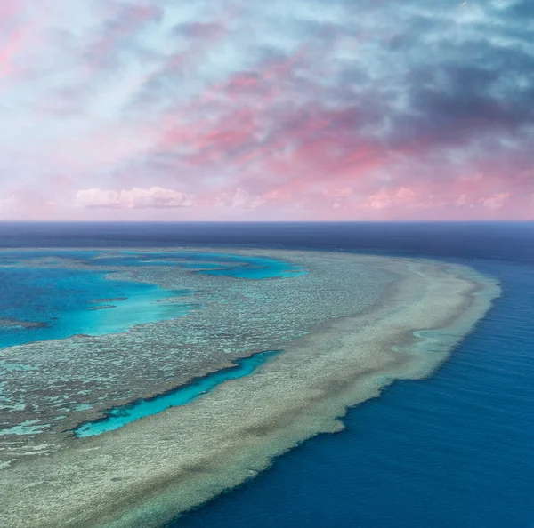 Пташиного Польоту Кораловий Риф Заході Сонця — стокове фото