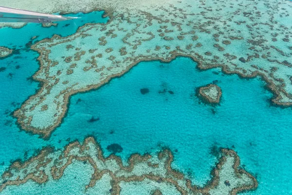 Luchtfoto Van Coral Reef Australië Stockafbeelding