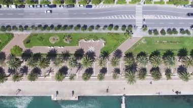 Şehir hava havai görünümü mesire yeşil palmiye ağaçları ile video