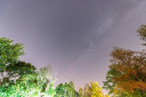 Deszcz Meteorów Perseidy Spadające Gwiazdy Nocnym Niebie Lato — Zdjęcie stockowe
