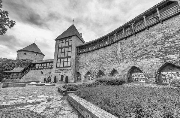 Tallinn Estonia Julio 2017 Museo Neitsitorn Vista Exterior Esta Una —  Fotos de Stock