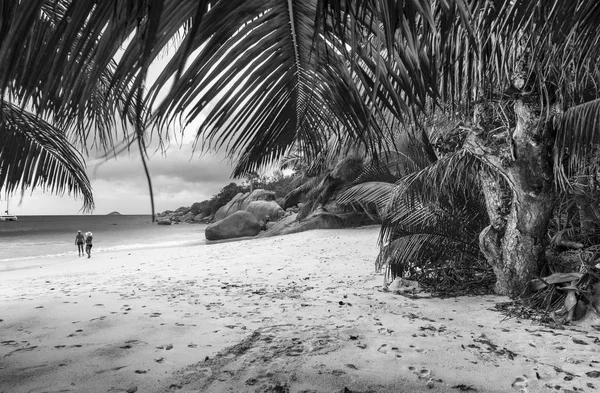 Καταπληκτική Παραλία Και Βράχια Του Anse Lazio Praslin Seychelels — Φωτογραφία Αρχείου