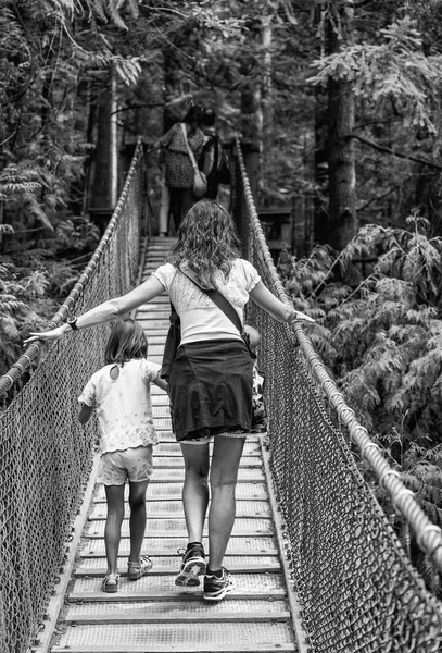 Visiteurs Explorant Parc Pont Suspendu Capilano North Vancouver Pont Suspendu — Photo