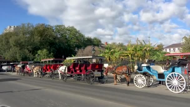 Filmato Fila Broughams Strada Nella Giornata Sole — Video Stock