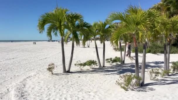 Malownicze Zdjęcia Białej Piaszczystej Plaży Słoneczny Dzień — Wideo stockowe