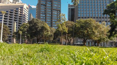 Güzel bir günde, Avustralya Sydney Hyde Park.