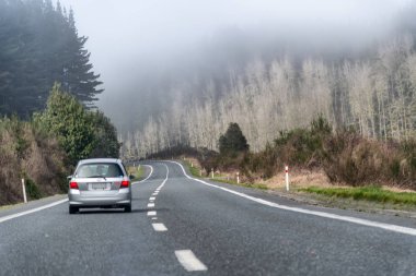 Güzel yol boyunca çıplak ağaçlar ve sis ile orman.