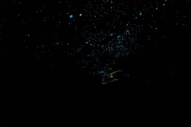 Parlayan solucanlar Waitomo mağaraları, uzun pozlama, Yeni Zelanda