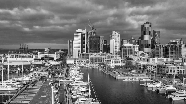 Veduta Aerea Panoramica Dello Skyline Auckland Crepuscolo Nuova Zelanda — Foto Stock