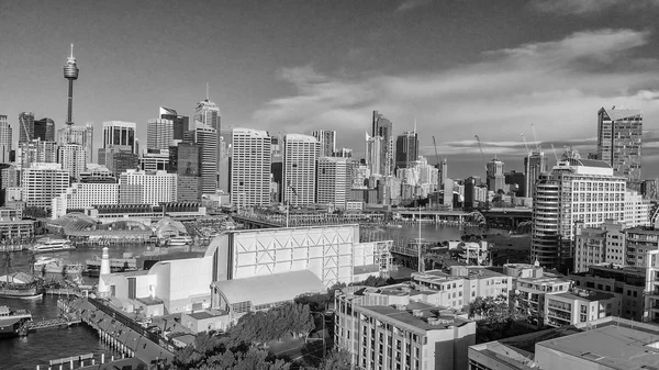 Sydney Australie Août 2018 Vue Aérienne Ville Depuis Darling Harbour — Photo