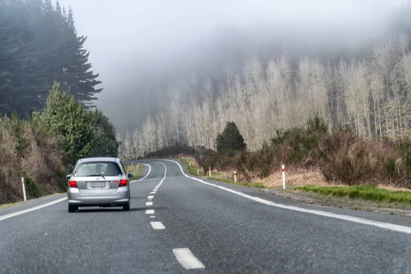 裸の木と霧フォレスト美しい道 — ストック写真