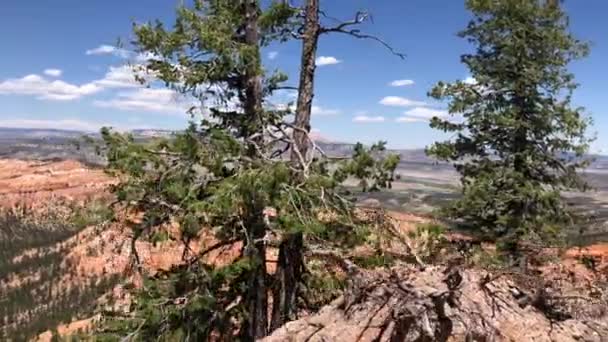 Vista Panoramica Sul Paesaggio Del Parco Nazionale Del Bryce Canyon — Video Stock