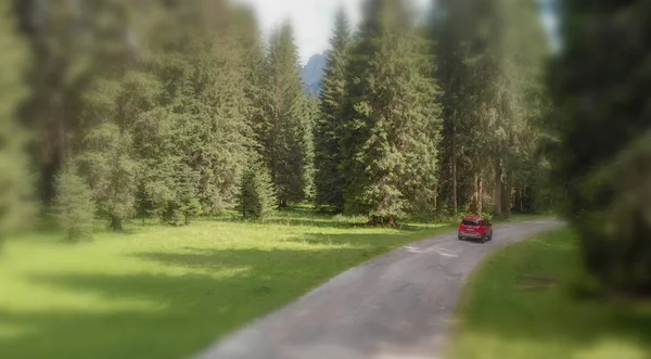 Red Car Moving Forest Aerial View — Stock Photo, Image