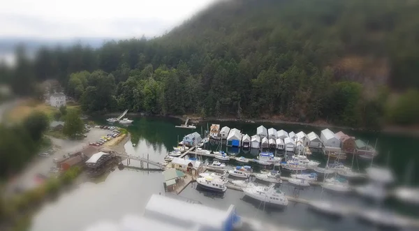 Vue Aérienne Baie Gênes Sur Île Vancouver — Photo