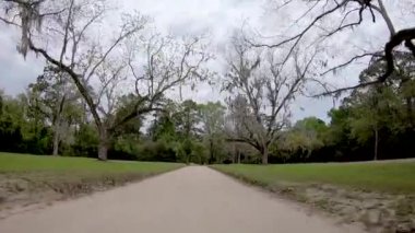 Bir yağmurlu günde, video Plantation sokak 