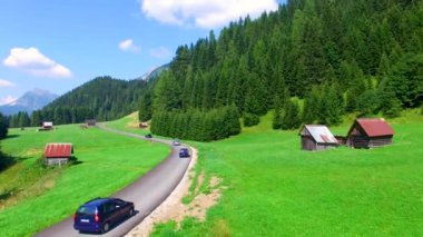 Güzel yol orman boyunca hava görünümünü. Video 