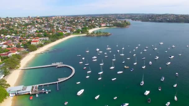 Vista Aérea Los Barcos Que Navegan Cerca Sydney Balmoral Beach — Vídeos de Stock