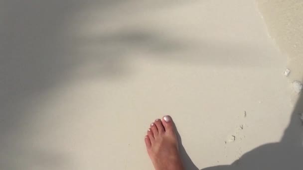 砂浜の上を歩く女性の脚 — ストック動画