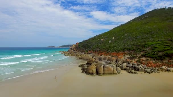 Удивительная Природа Побережья Национальном Парке Wilsons Promontory Виктория Австралия — стоковое видео