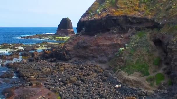 Muhteşem Plaj Okyanus Kenarı Cape Schanck Avustralya — Stok video