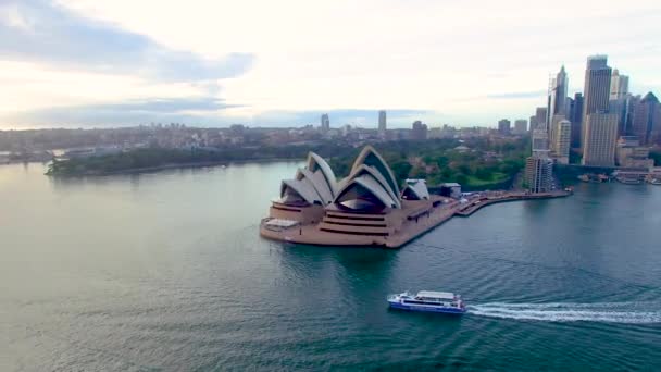 Αεροφωτογραφία Του Σίδνεϊ Νέα Νότια Ουαλία Αυστραλία — Αρχείο Βίντεο