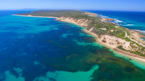 ポイント ネピアン ビクトリア オーストラリアの空撮 — ストック動画