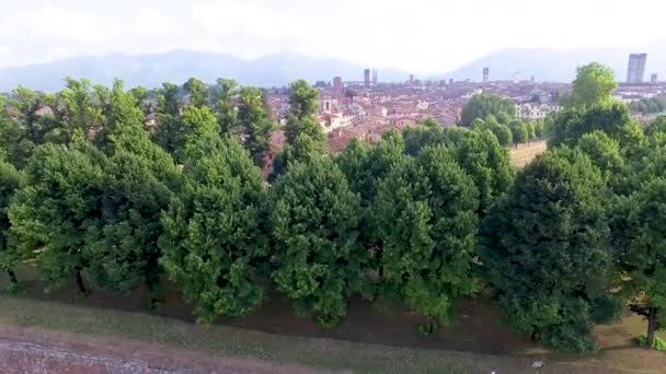 Вид Воздуха Лукку Древний Город Тоскана — стоковое видео
