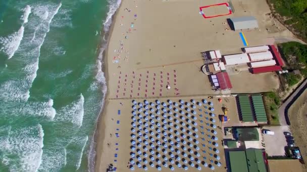 Bela Vista Aérea Cadeiras Praia Guarda Chuvas Longo Oceano Vídeo — Vídeo de Stock