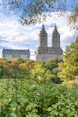 Manhattan New York'ta Central Park'tan yapraklar mevsiminde görülen binaların.