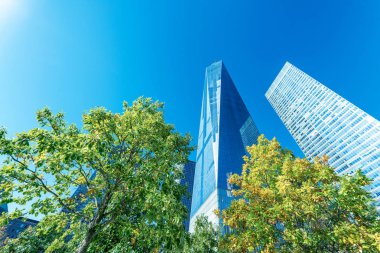 Mavi gökyüzü karşı yapraklar mevsiminde ağaçlar üzerinde New York binalar.