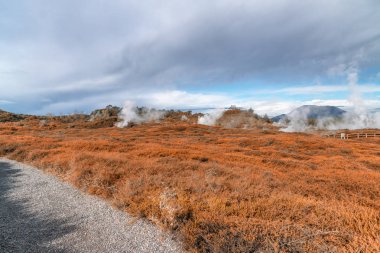 Krater of Moon, güzel geysers, Taupo - Yeni Zelanda manzara.
