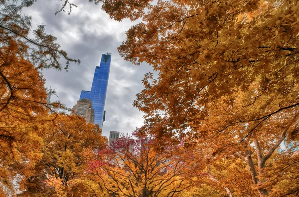从树叶季节中央公园看纽约市曼哈顿的建筑 — 图库照片
