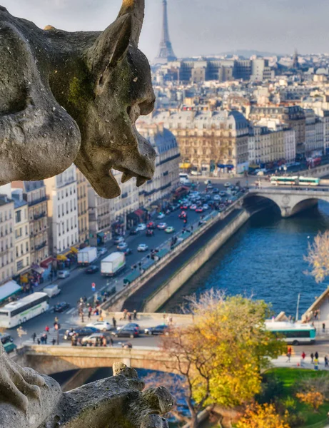 Chimera Gargoyle Della Cattedrale Notre Dame Paris Con Vista Parigi — Foto Stock