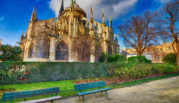 Bir Güzel Güneşli Kış Gününde Paris Teki Notre Dame Katedrali — Stok fotoğraf