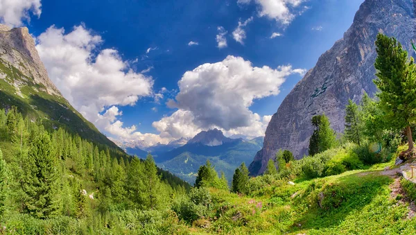 Montanhas Prados Alpes — Fotografia de Stock