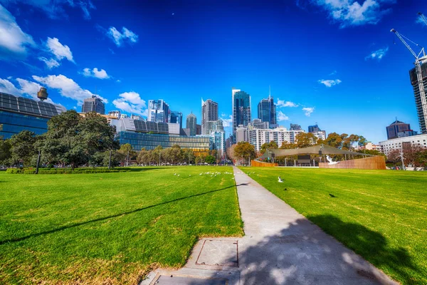 Güzel Bir Park Güneşli Bir Günde Sydney Şehir Gökdelenler — Stok fotoğraf