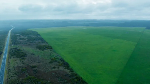 Сільській Місцевості Пташиного Польоту Великий Ocean Road Єднані Арабські Емірати — стокове фото