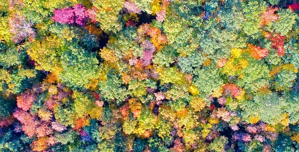 New England Laub Der Herbstsaison Luftaufnahme — Stockfoto