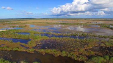 Everglades bataklık peyzaj, Florida, ABD, video havadan görünümü 