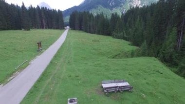Güzel yol orman boyunca hava görünümünü. Video 